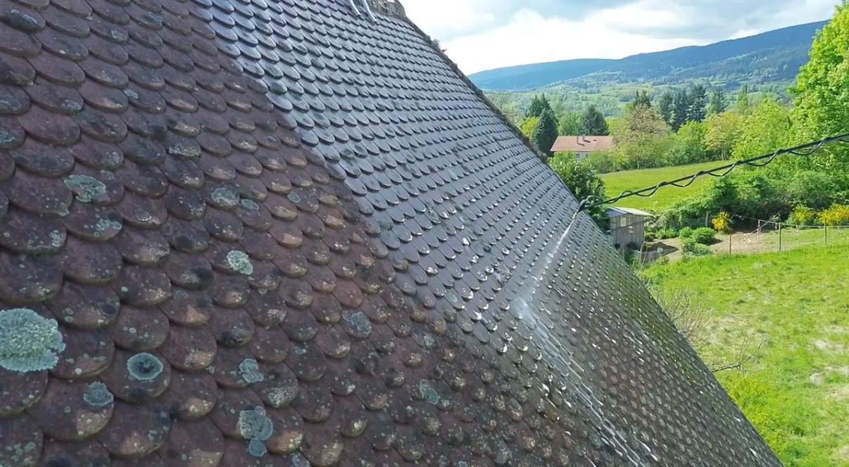 Démoussage toiture Indre et Loire