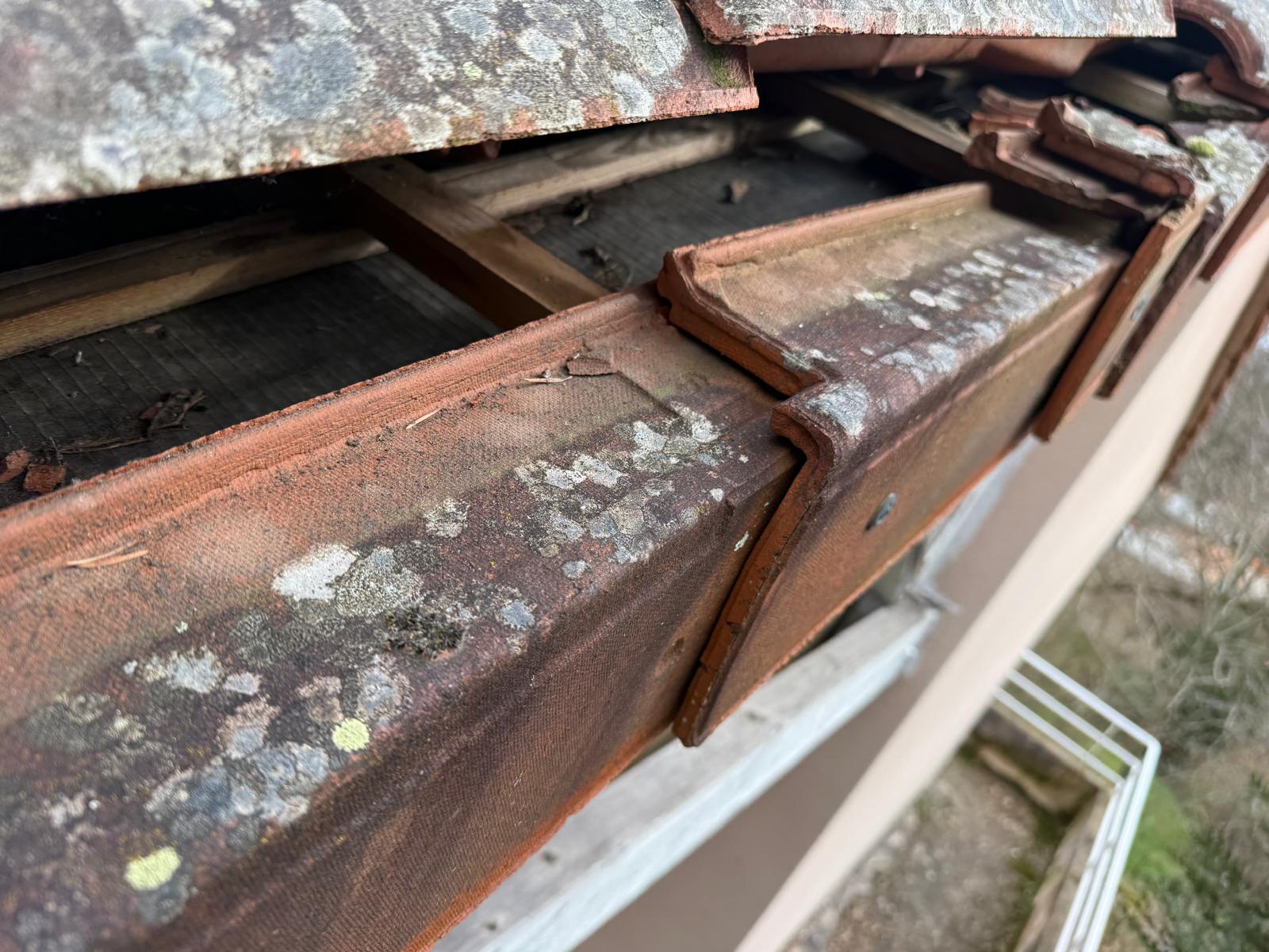 Charpente couvreur Indre et Loire