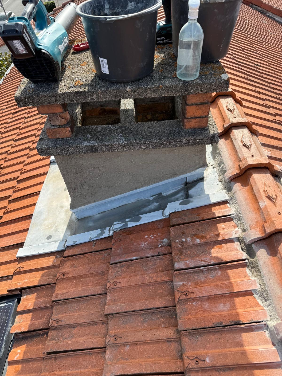 Démoussage toiture professionnel Indre et Loire